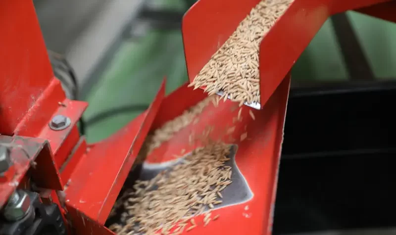 Empacotadora automática para grãos e pó para máxima precisão